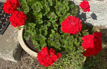 Loch Leven Loft - Foto 12