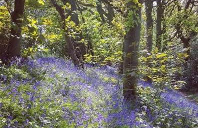 Carpenters Cottage Derbyshire, with romantic 4 poster bed - Foto 23