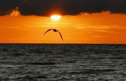 CENTRE VILLE - SUPERBE APPARTEMENT CLIMATISE - COSY-Wifi - - Foto 11