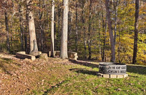 Luxe Dog-Friendly Cabin with Hot Tub and Game Room - Foto 26