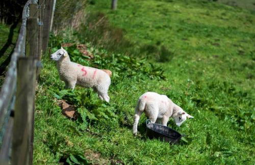 Meadowhead Cottage, Traditional Scottish Cottage - Foto 12