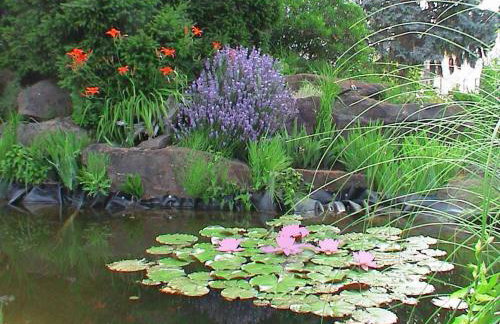 Ferienwohnungen Steinhof-Littmann - Foto 28