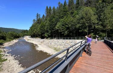 Górskie Siedlisko - 3 Chaty - Foto 59