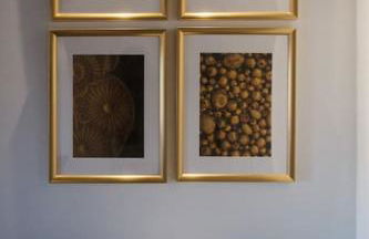 BABhouse Casa D'ouro - Foto 21