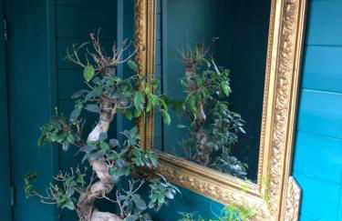 3DALIPHARD - Foto 16