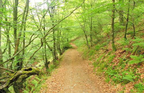 Casa Gloria - Foto 32