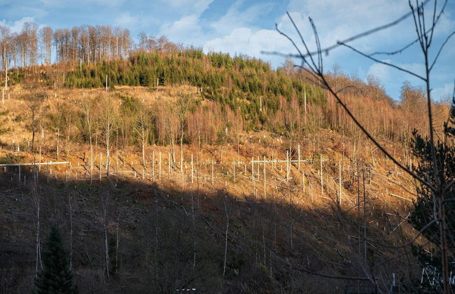 Cosy Holiday Home Yalet in Brilon-wald - Foto 33