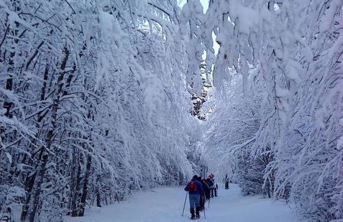 GITE DES 3 JONQUILLES - Foto 12