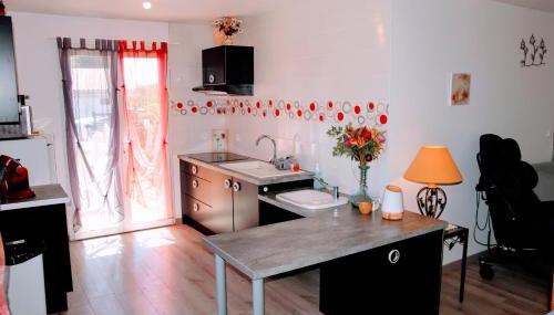 Le 16 BIS Appart Climatisé PMR - Foto 5, stove, pet friendly, minibar