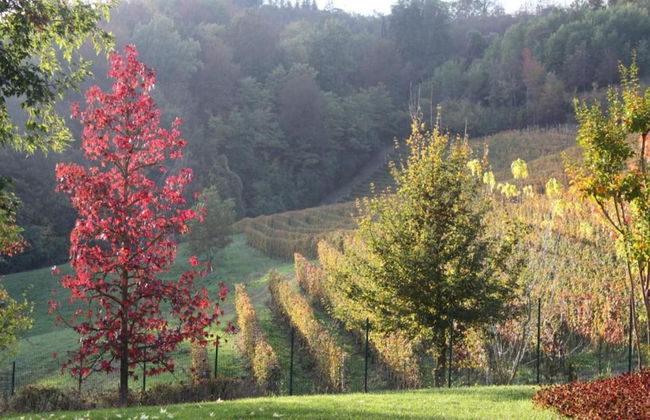 Holiday Home in Langhe With Pool and Terrace - Foto 40