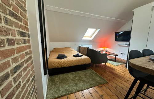 IMMEUBLE ST-PIERRE - GARE 10min - HORTILLONNAGES 5min - WIFI - TV HD - Foto 38