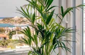 Villa Mare Syros - Photo 61