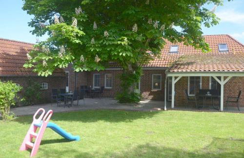 Seestern am Naturstrand - Foto 11