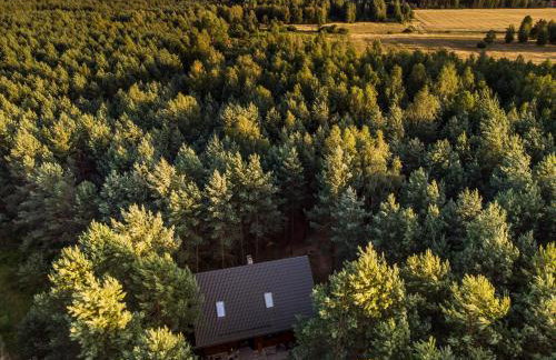 Łosia Chata - Foto 27