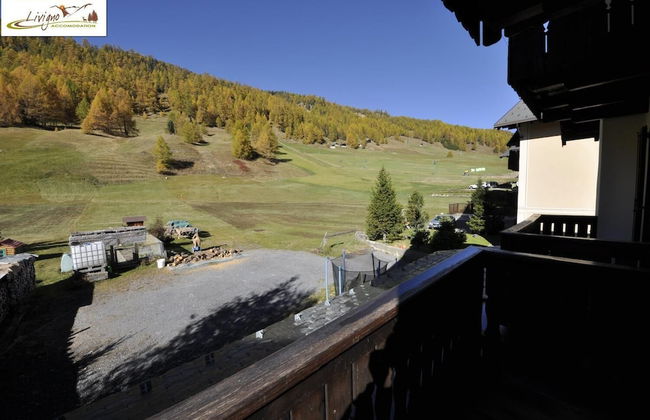 Casa Florin Giumel by Livigno Accomodation - Foto 43