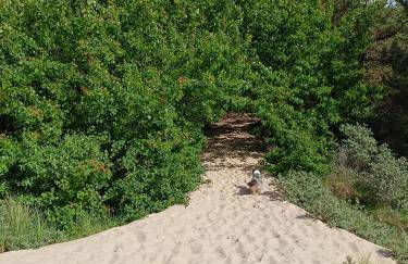 Côte d'Opale - Maison Cocooning Classé 3 Étoiles - Foto 37