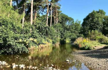 THE MORNINGSIDE APARTMENT Charming stylish apartment in the centre of Innerleithen - Foto 16