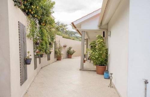 Quintinha de Mirão Douro Valley - Foto 9