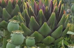 Freshwater Barn - Foto 24