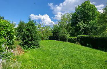 IZZ1 Apartments - Loft Serramazzoni - Foto 12