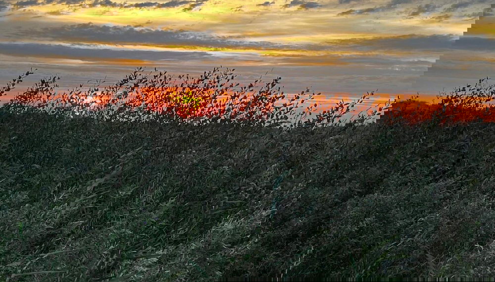 10 Person Holiday Home in Ebeltoft-by Traum - Photo 1