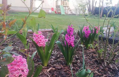 Ferienwohnung "OTTO" - Foto 17