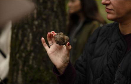 Cascina Burroni - Foto 27