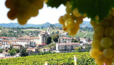 Agriturismo Mondo - Foto 5