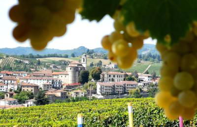 Agriturismo Mondo - Foto 5