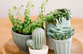 Casas do Jardim - Foto 47