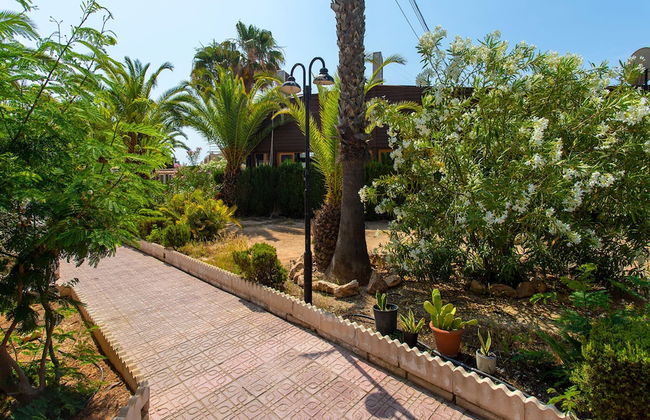 Perseo in Torrevieja - Foto 33