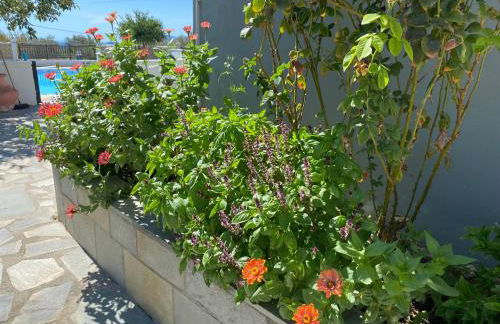 Villa Karras - Photo 42