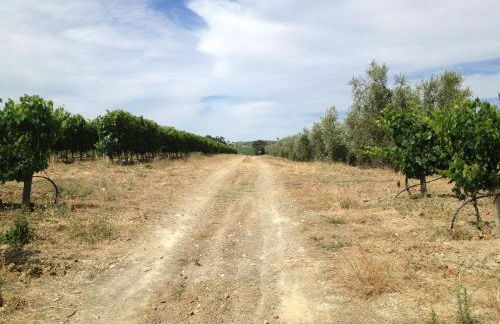 I Puntoni Agriturismo - Foto 70