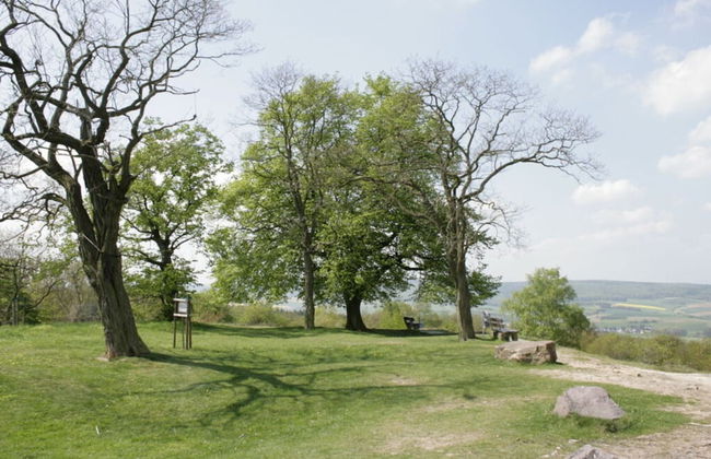 Mensfelder Kopf Near Limburg/lahn - Foto 32