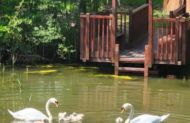 Cabane atypique sur une Île - Foto 20
