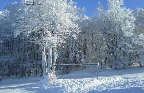 Bergsteiger - Foto 6