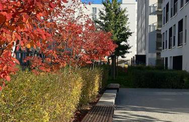 Art & Pleasure WAW z bezpłatnym parkingiem - Foto 73