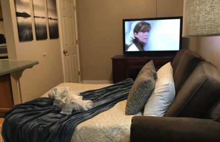 Chair Four Por Favor - Walk Almost Anywhere at Alyeska Resort! - Foto 10