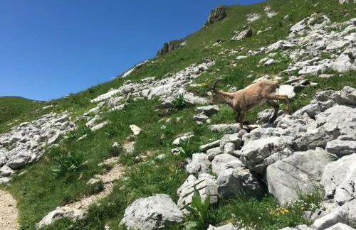 Appartement Sevrier terrasse et jardin - Foto 53