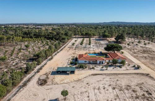 O Cantinho dos Vieiras - Foto 33