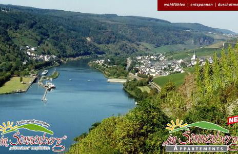 Appartement im Sonnenberg - Foto 1