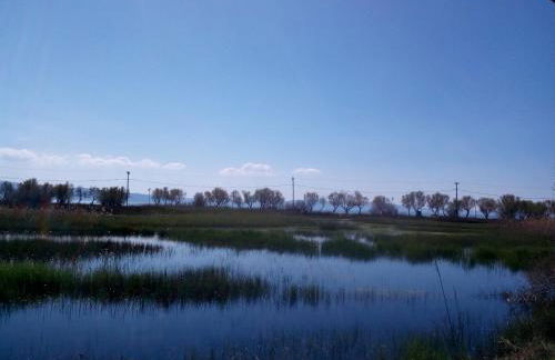 Diamanti Studios - Foto 33