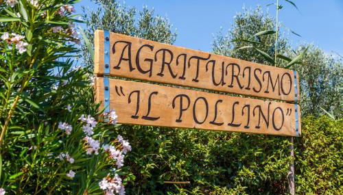 Agriturismo il Pollino - Foto 1