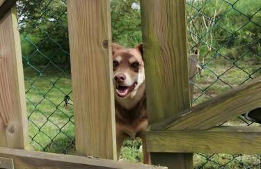 Le 115 Retour aux Sources - Foto 37