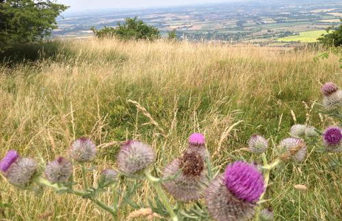 Apartment above Samantha Dadd Art Studio - in the Cotswolds - Foto 29