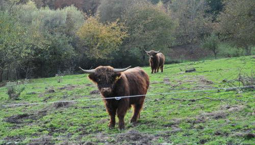 FEWO Geisbergblick - Foto 5