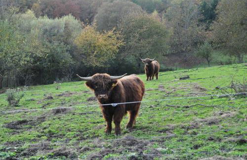 FEWO Geisbergblick - Foto 5