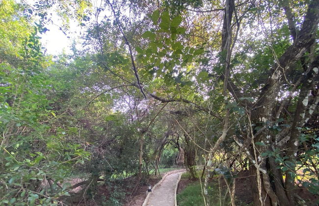 Kotiya Eco Villas - Photo 35