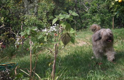 Casa do Tear - Foto 22