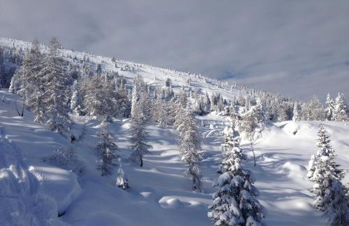 Tesino Appartamenti - Foto 25